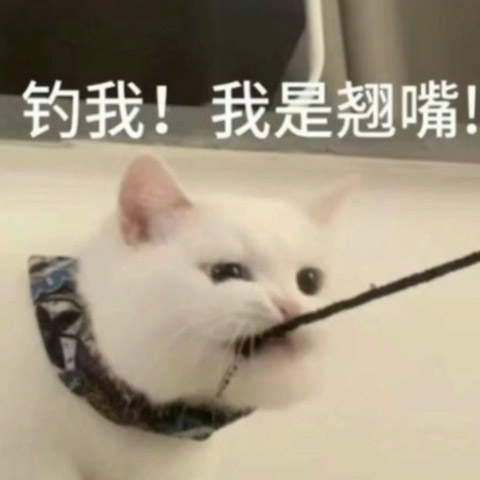 斯慕圈评论区表情包鉴赏：抖M表情包-第4张图片-灰灰斯慕圈